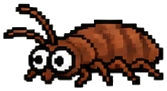 a tiny bedbug nymph