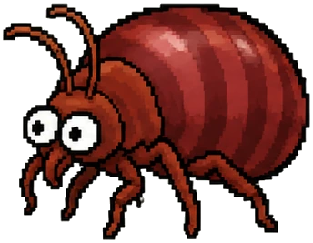 a big red engorged bedbug